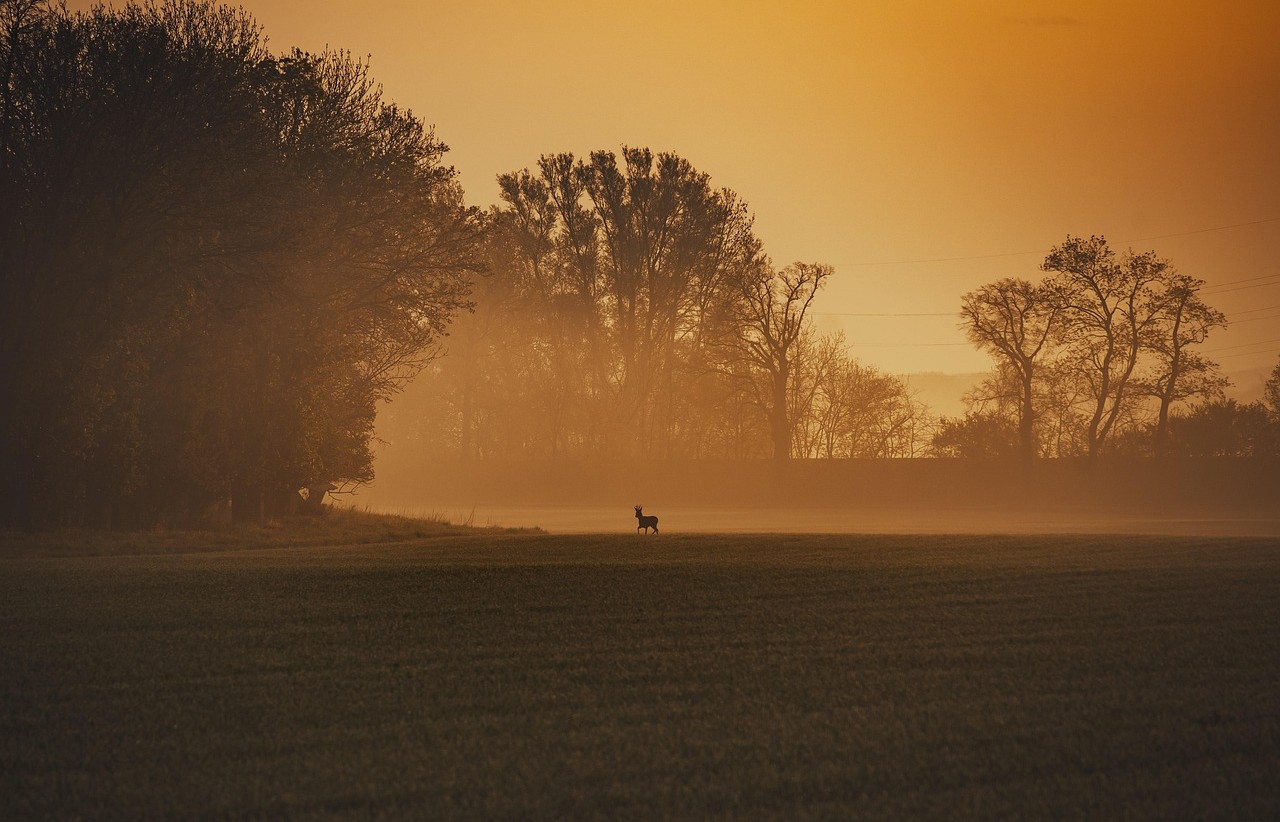 Water droplets on waterproof hunting jacket