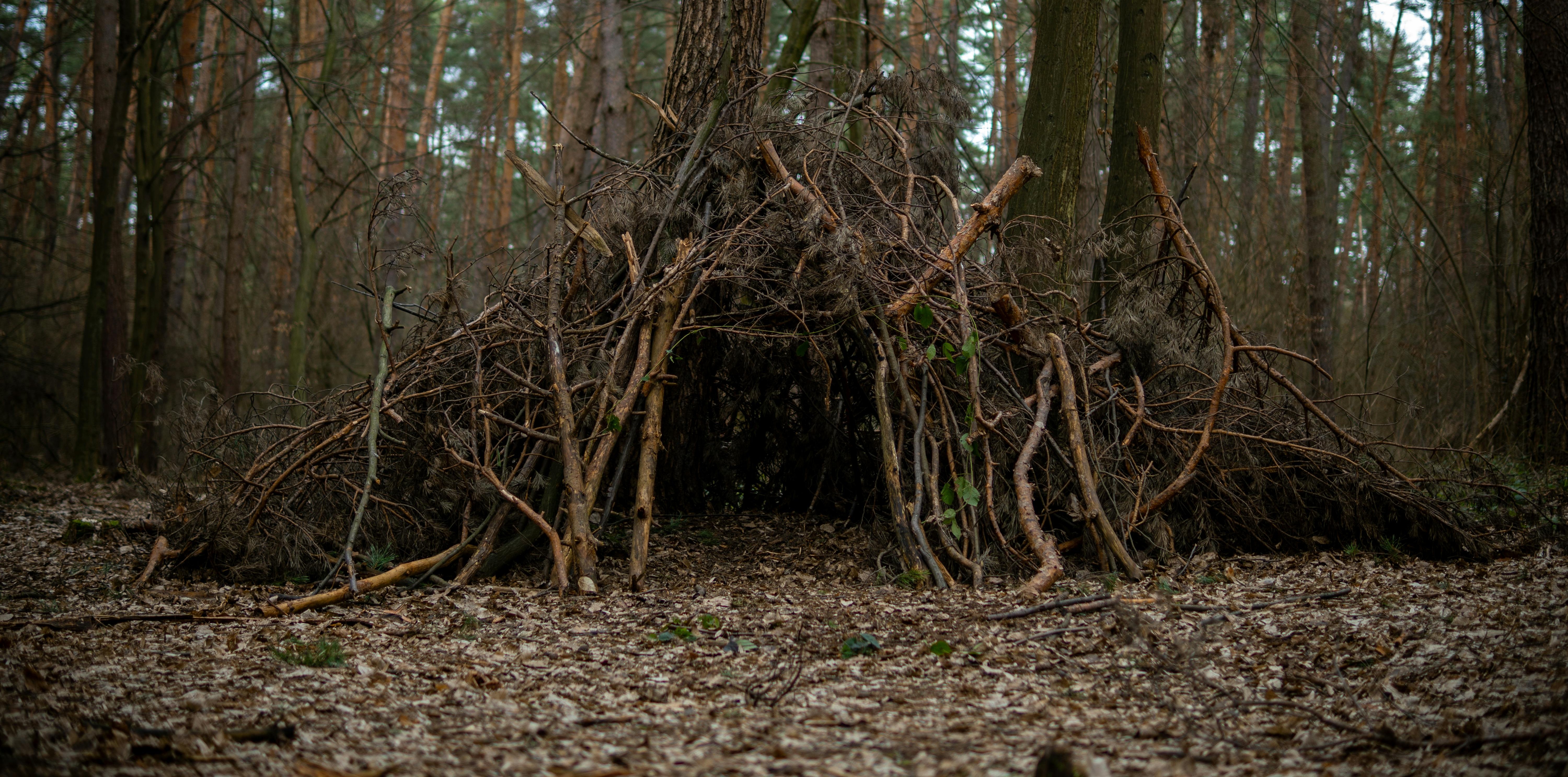 Rugged work boot on mossy log