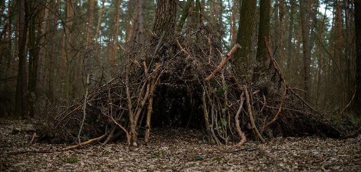 Improvised natural-material bushcraft shelter on a ridge